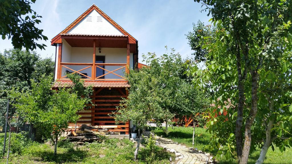 Casa Agnes Vendeghaz Hotel Fantanele  Exterior foto